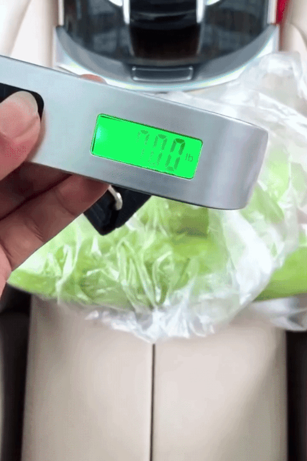 Electronic Luggage Scale